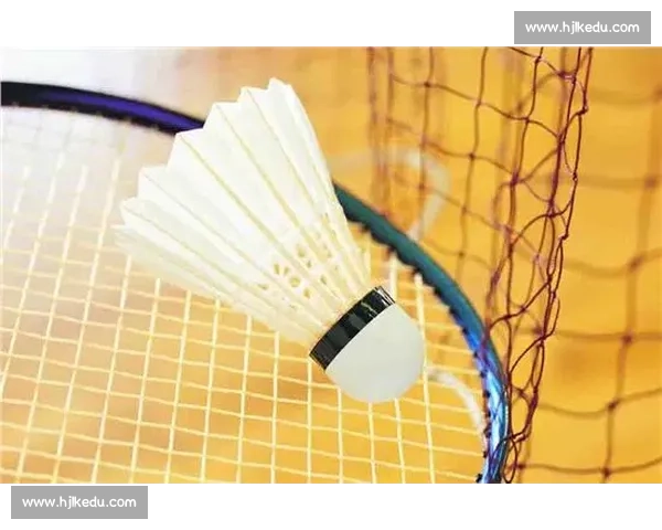 羽毛球涨价超黄金 70%：一根羽毛背后的供需战争